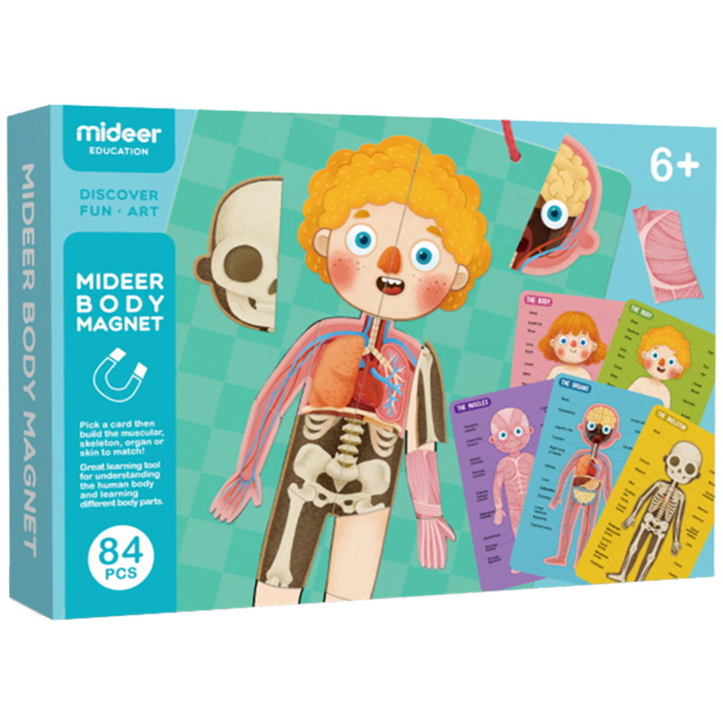 Магнитный пазл Тело человека MiDeer (MD2031)